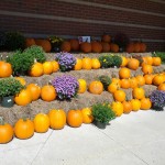 2012-09-19 13.32.46