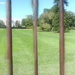 White House Panorama