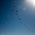 IMG_1356