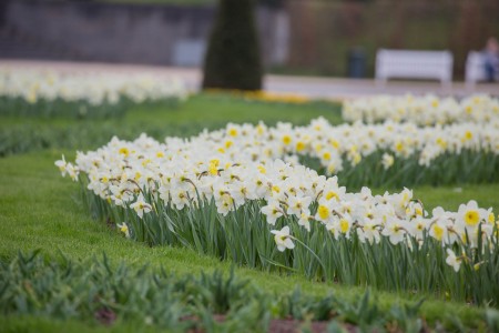 bluehendes-barock-ludwigsburg-0483