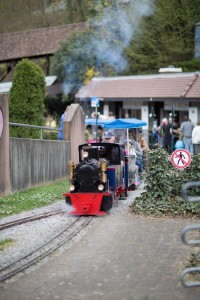 bluehendes-barock-ludwigsburg-0611