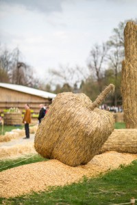 bluehendes-barock-ludwigsburg-0634